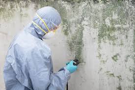 Best Industrial Mold Remediation  in Huntington Station, NY